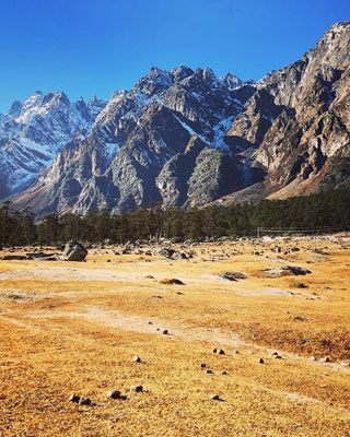 Yumthang Valley